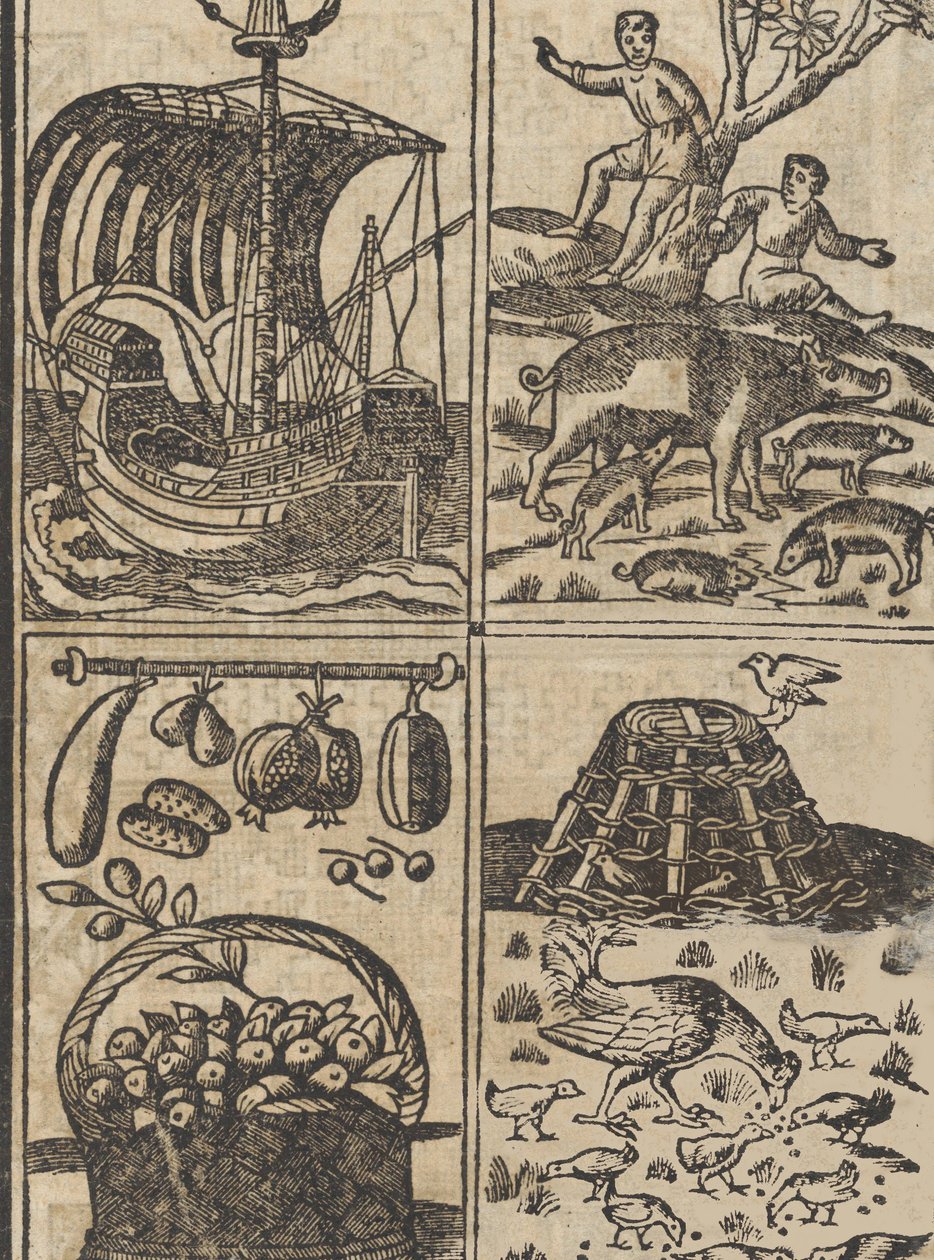 Essempio di recammi, pagina 9 recto, 1530 door Giovanni Antonio Tagliente