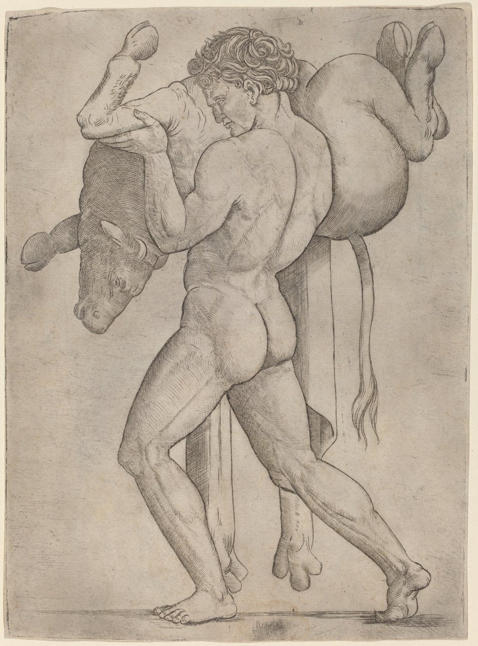 Hercules en de Kretenzische Stier door Giovanni Antonio da Brescia