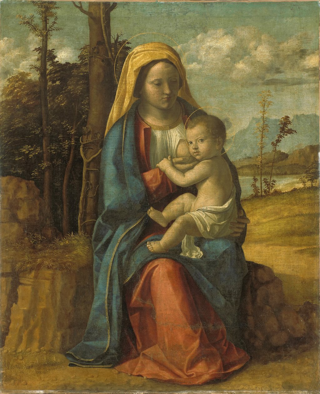 Madonna met kind door Giovanni Battista Cima da Conegliano