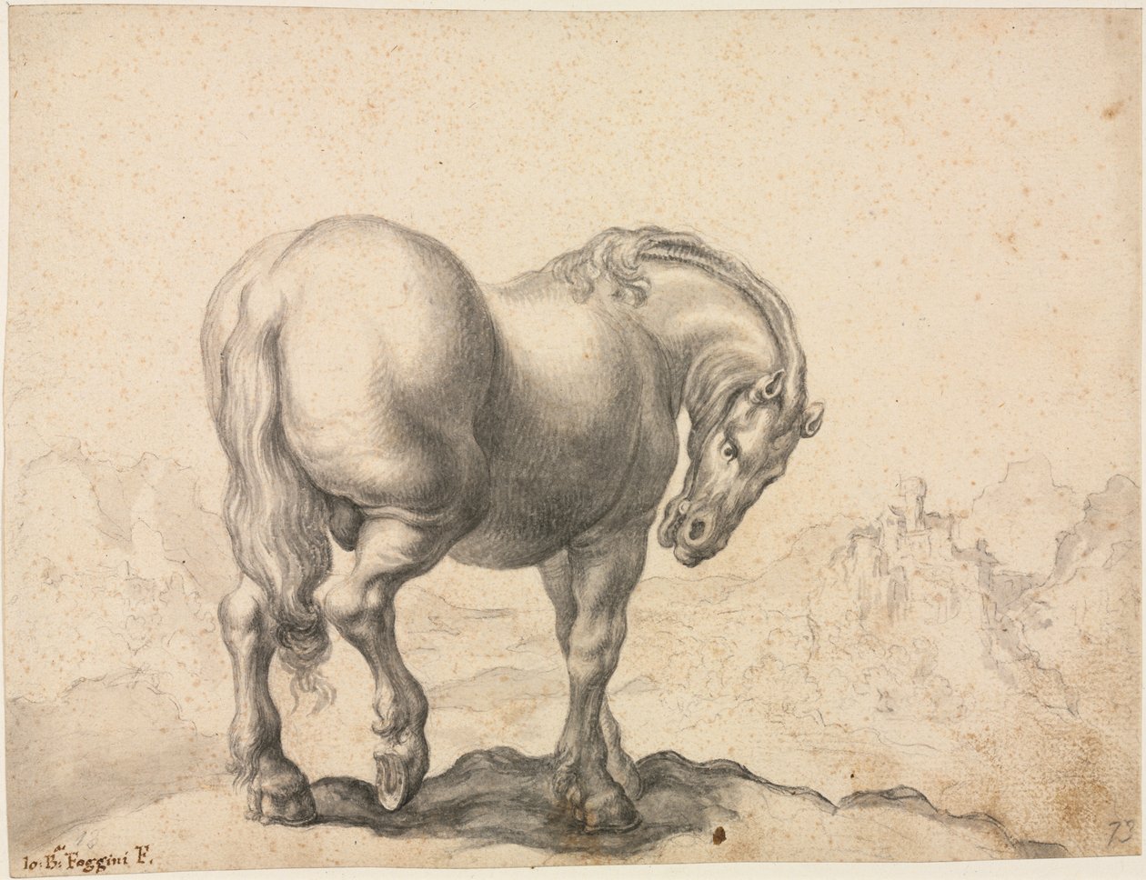 Studie van een hengst, eerste derde 18e eeuw door Giovanni Battista Foggini