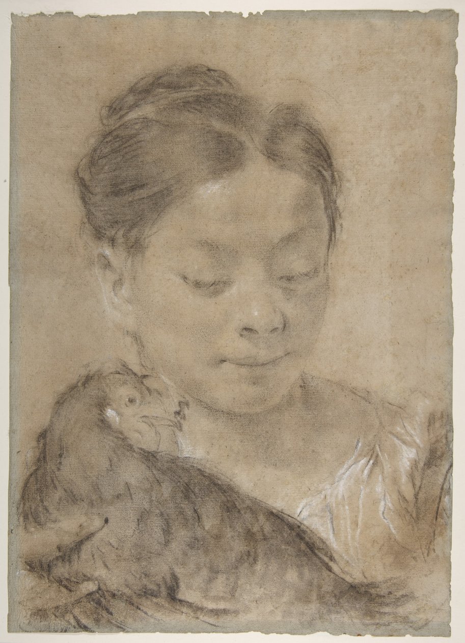 Meisje met een kip door Giovanni Battista Piazzetta