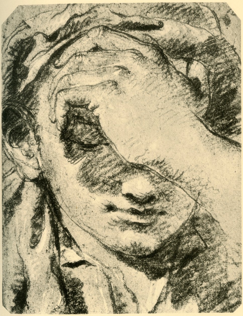 Hoofd van een jonge vrouw door Giovanni Battista Tiepolo