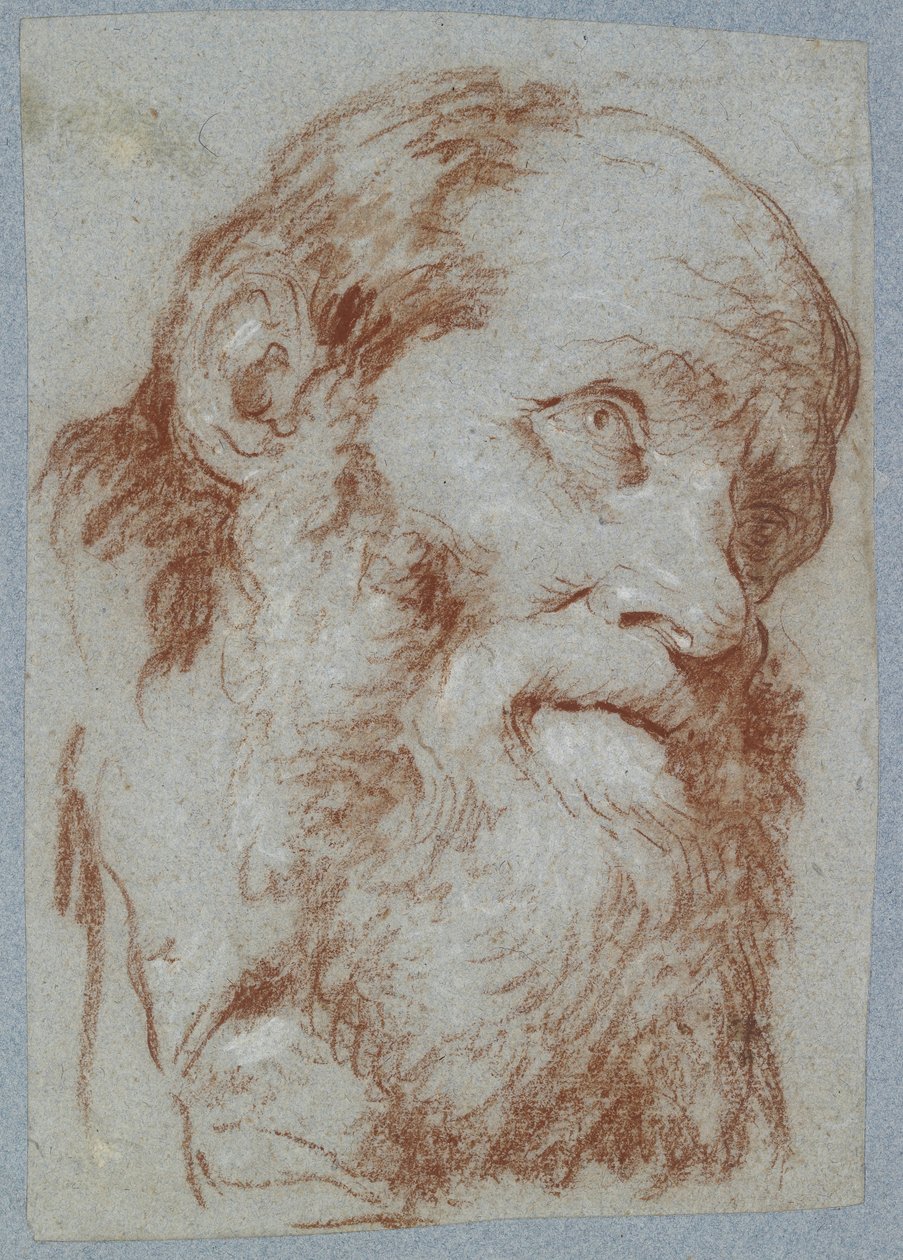 Hoofd van een Oude Man met Baard door Giovanni Battista Tiepolo