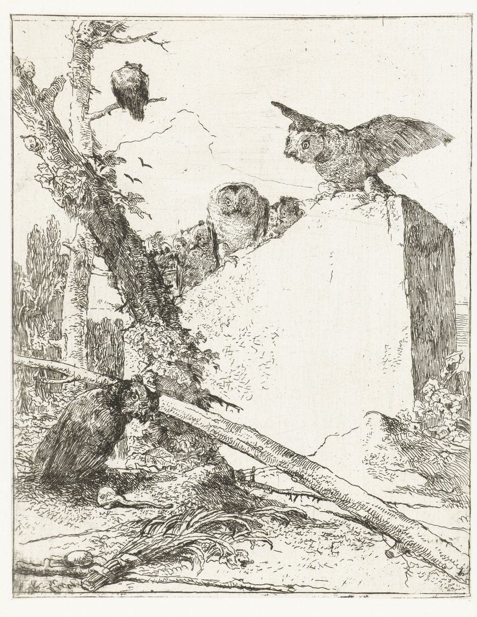 Titelprent voor Scherzi di fantasia met uilen bij een steen door Giovanni-Battista Tiepolo