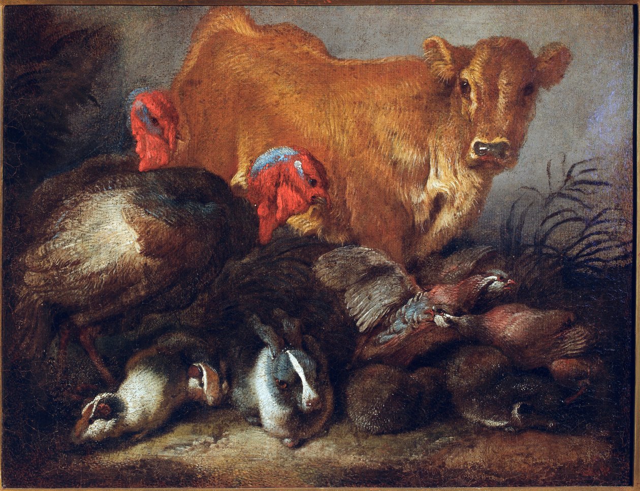 Studie van dieren Koe, kalkoen, konijn door Giovanni Benedetto Castiglione