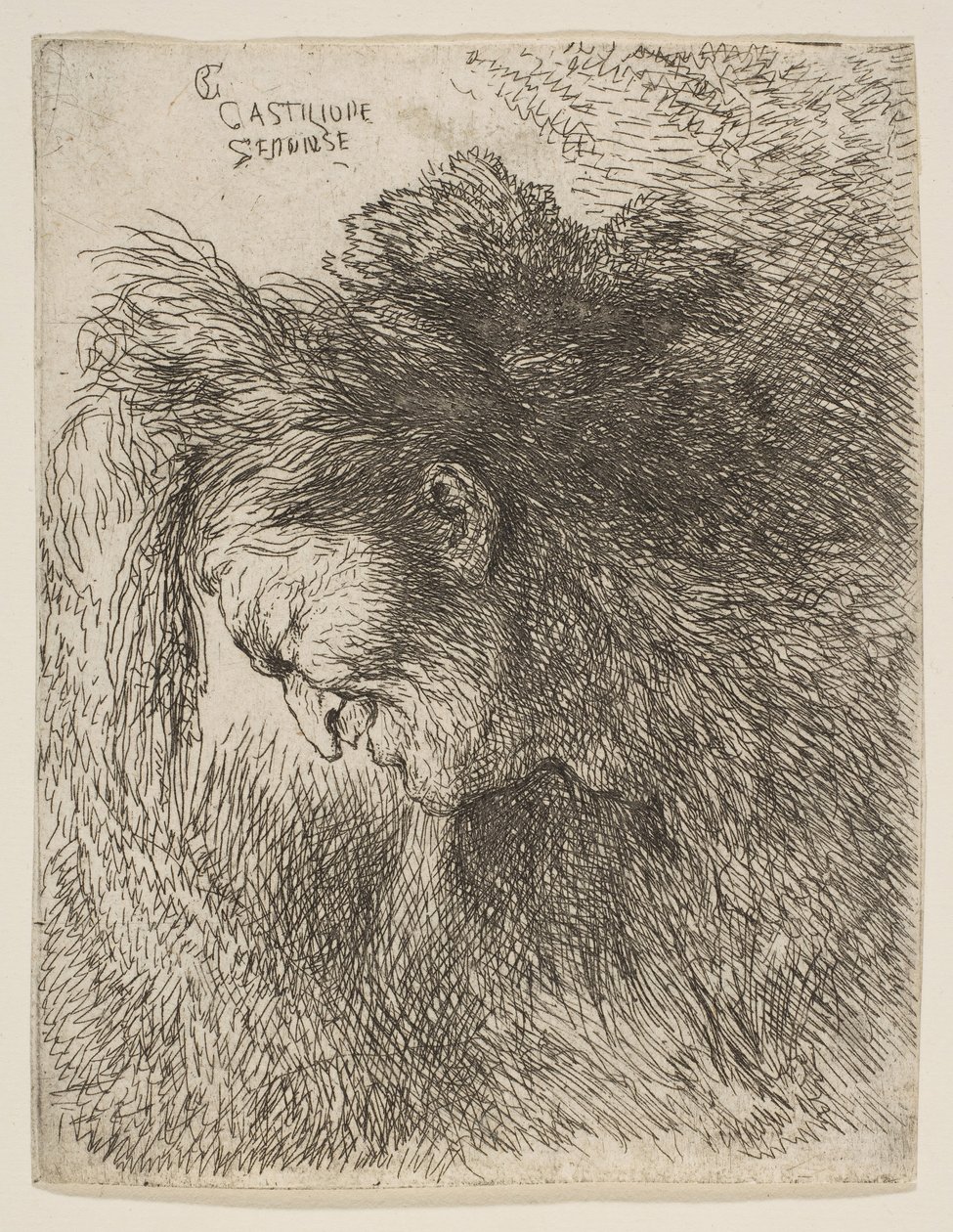 Hoofd van een oude man die naar beneden kijkt, naar links, uit de serie Kleine Hoofden, ca. 1645-1650 door Giovanni Benedetto Castiglione