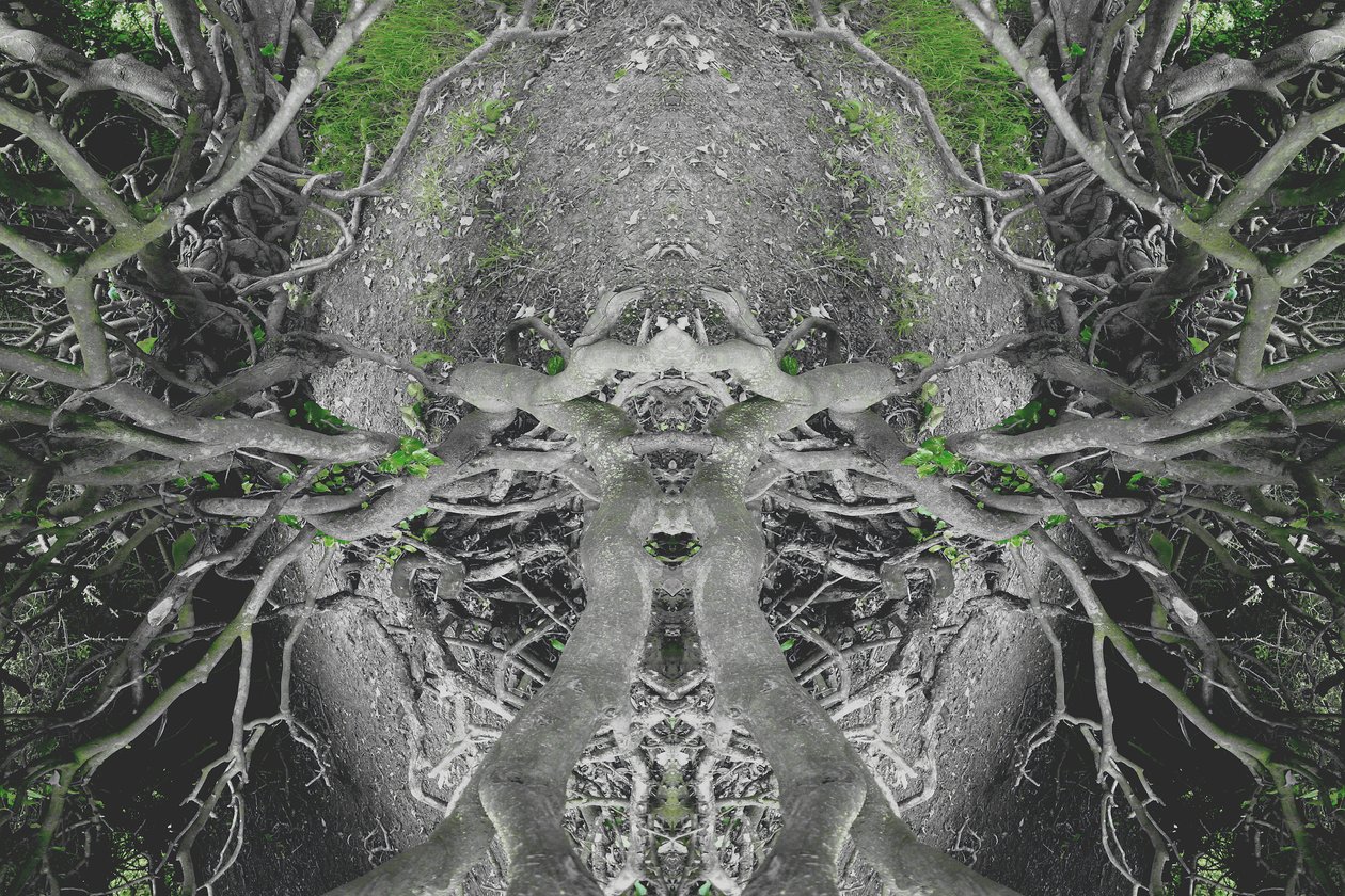 Onnatuurlijk 42 door Giovanni Cafagna