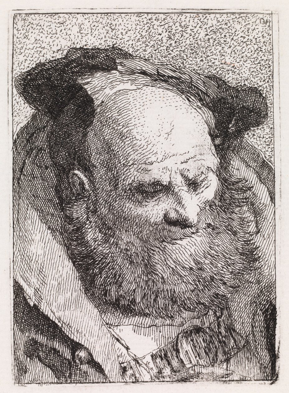 Oude man met een baard door Giovanni Domenico Tiepolo