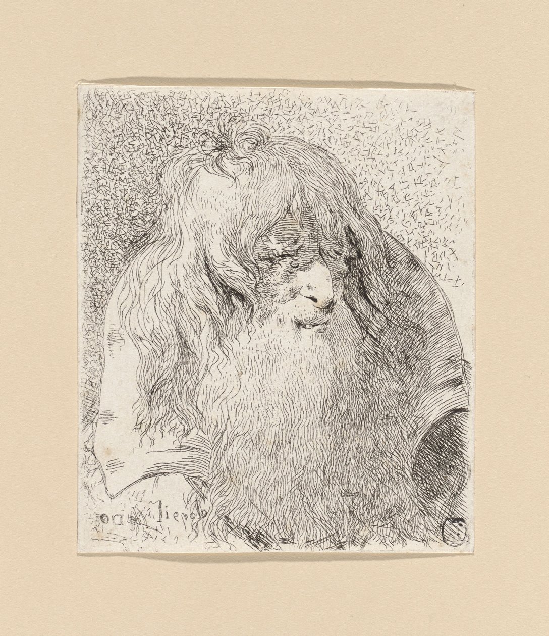 Oude man met een baard en lang haar, uit de Raccolta di Teste (Verzameling van hoofden) door Giovanni Domenico Tiepolo