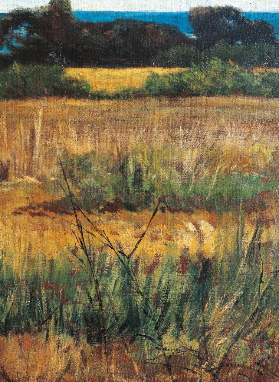 Maremma Toscana, circa 1894 (detail) door Giovanni Fattori