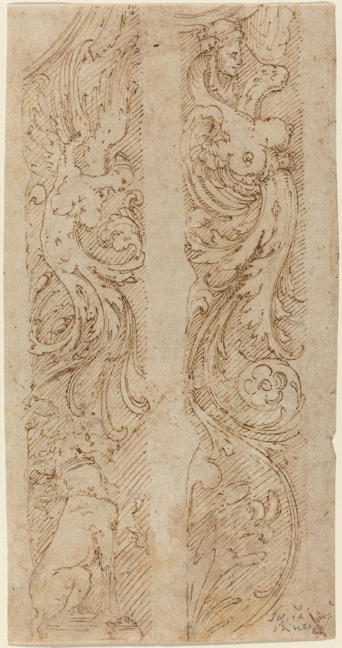 Grote Decoraties voor Muurpanelen door Giovanni da Udine