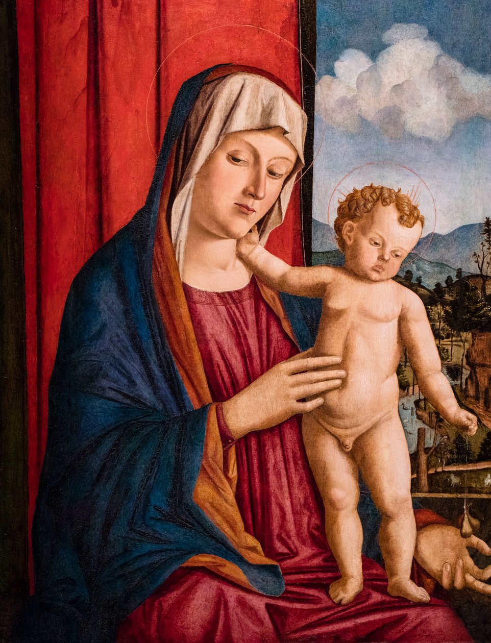 Maagd en kind, circa 1500-1525 (gemengde techniek op populierenhout) door Giovanni di Niccolo Mansueti