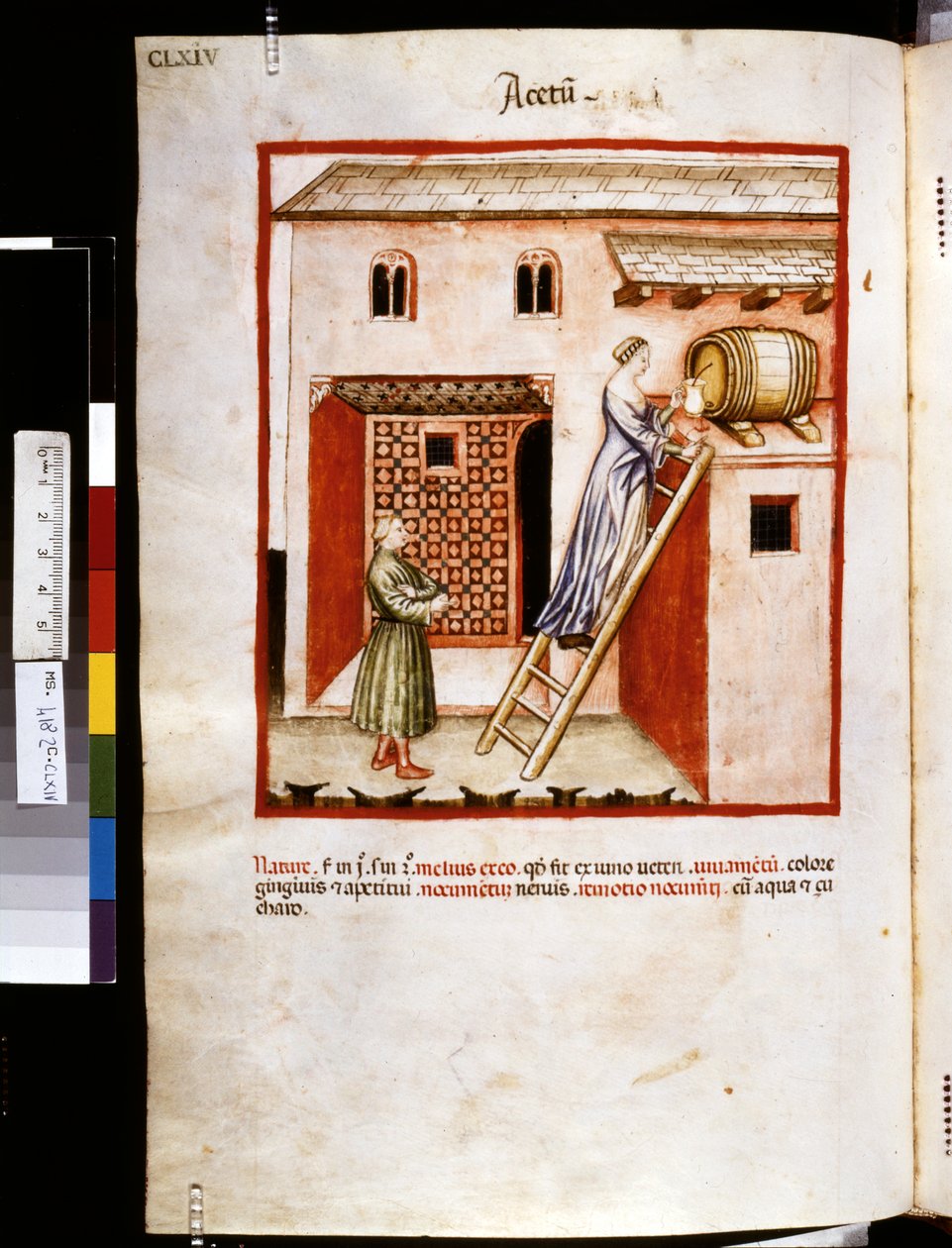 Theatrum sanitatis door Ububchasym de Baldach: 