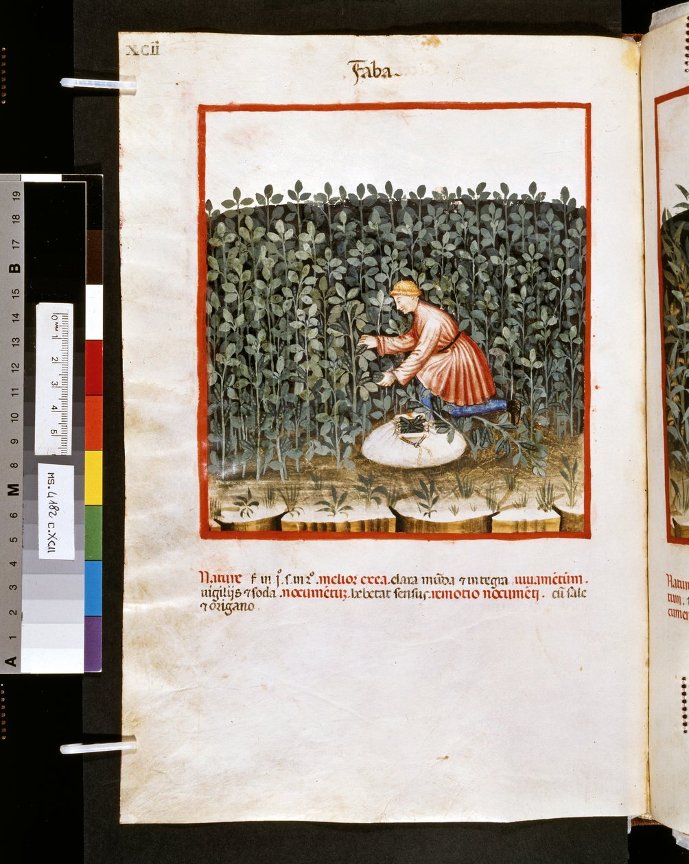 Theatrum sanitatis door Ububchasym de Baldach: 