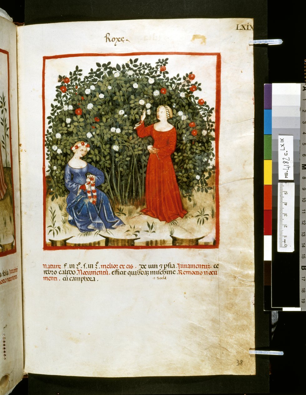 Theatrum sanitatis door Ububchasym de Baldach: 