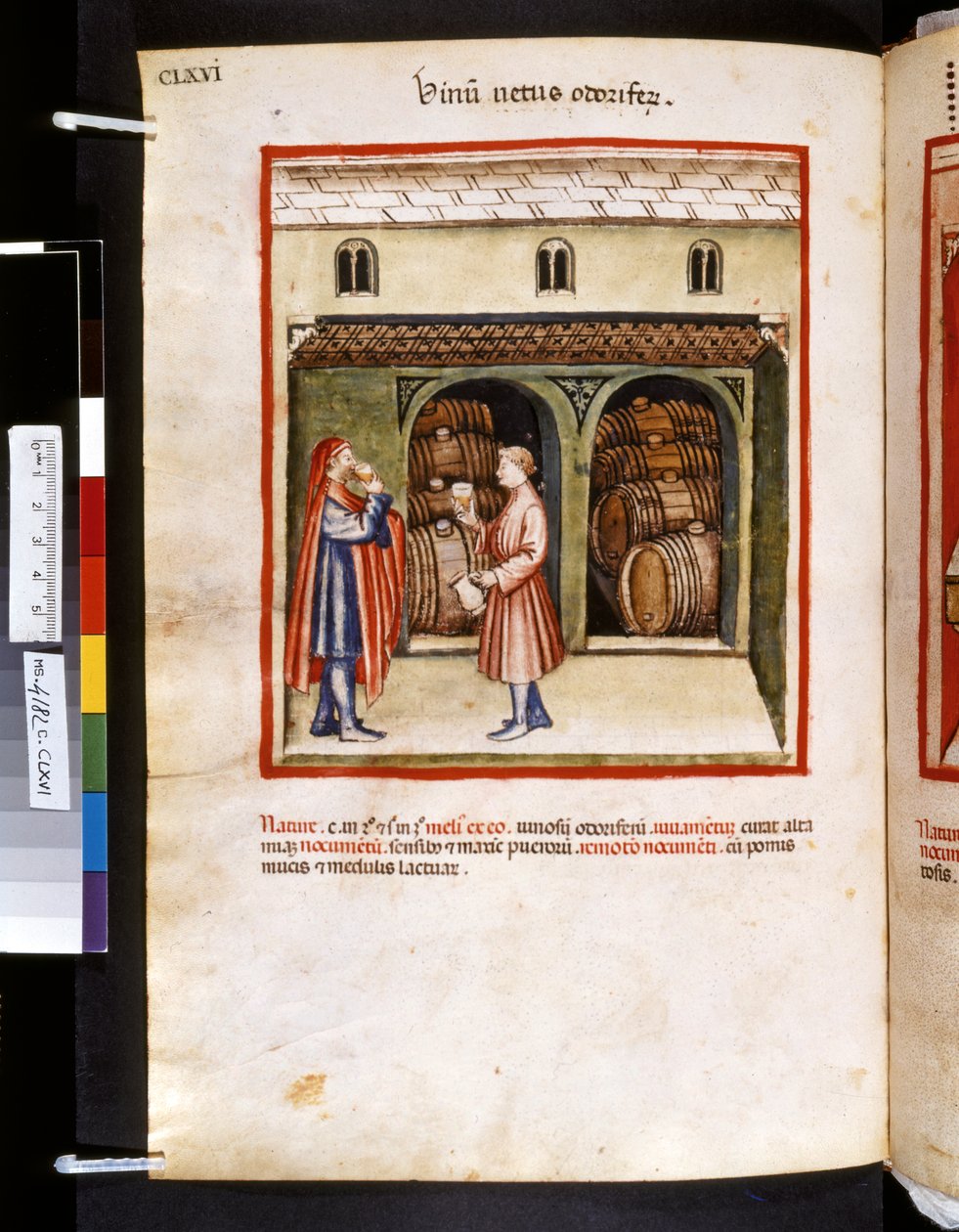 Theatrum sanitatis door Ububchasym de Baldach: 