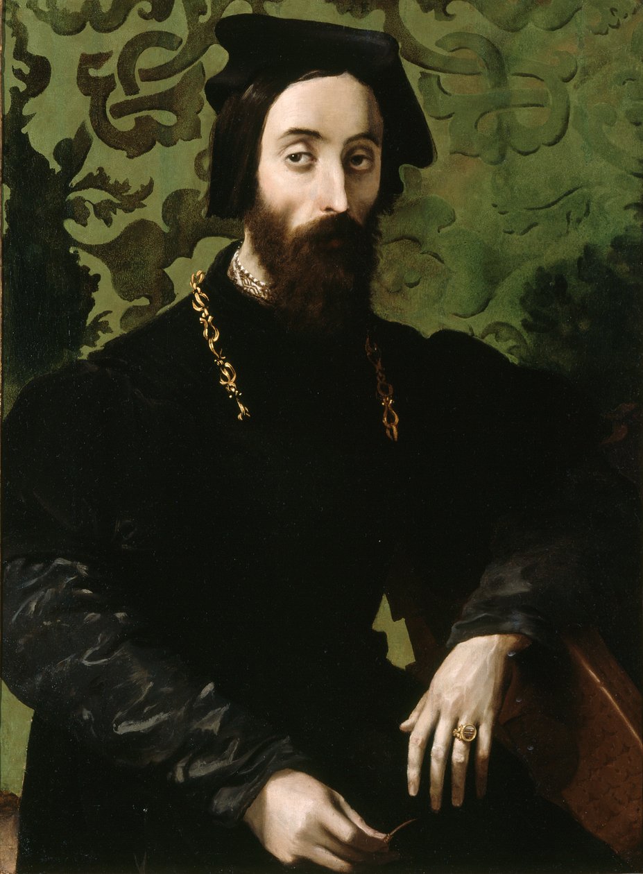 Portret van een musicus, ca.1540 (olieverf op paneel) door Girolamo Mazzola (attr.) Bedoli