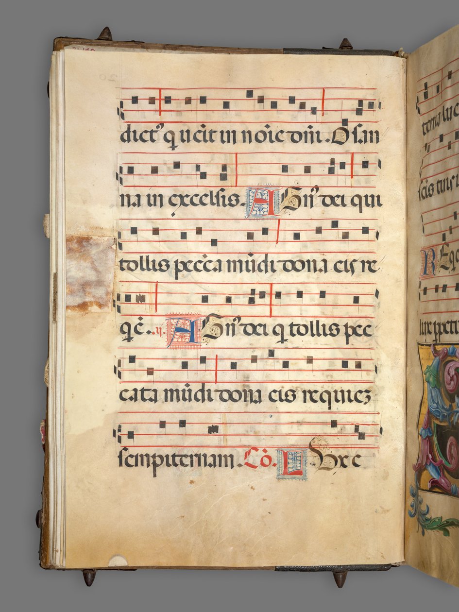 Geleidelijk door Girolamo dai Libri