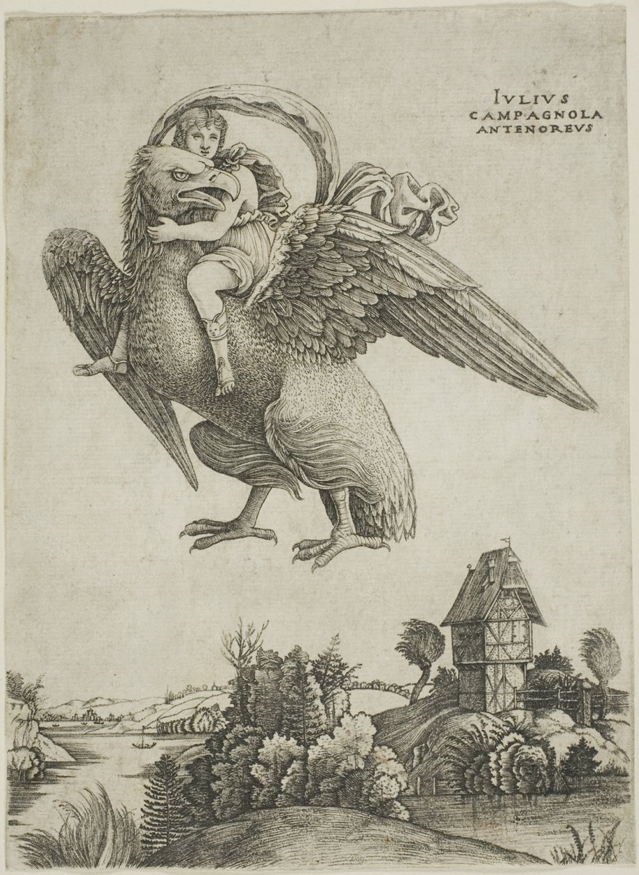 Ganymedes door Giulio Campagnola