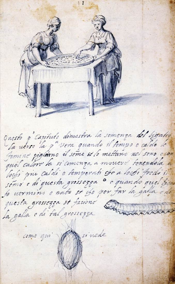 Verhandeling over zijdecultuur en -productie (Serie van dertien tekeningen, nr. 1) door Giuseppe Arcimboldo