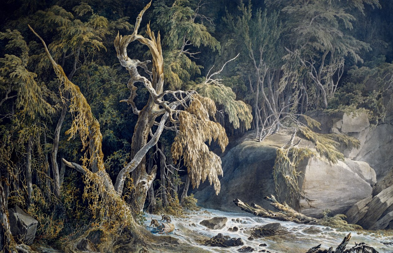 Rotsachtig landschap met ontwortelde bomen door Giuseppe Pietro Bagetti
