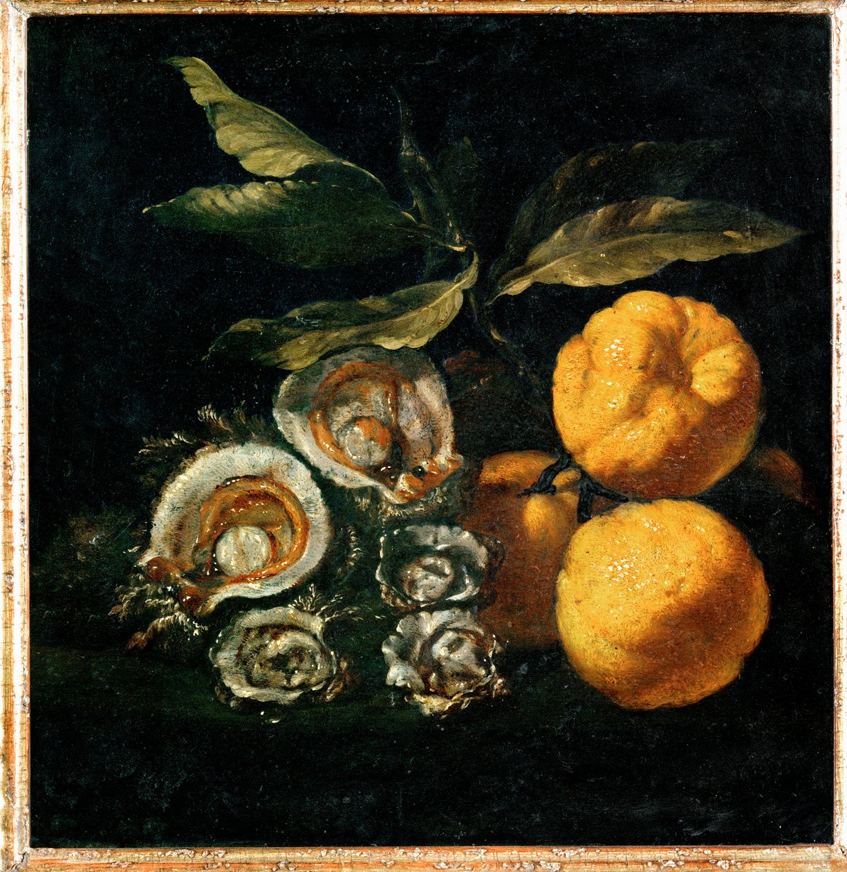 Nature Morte aux huitres et aux coings - Stilleven met oesters en kweepeer ... door Giuseppe Recco