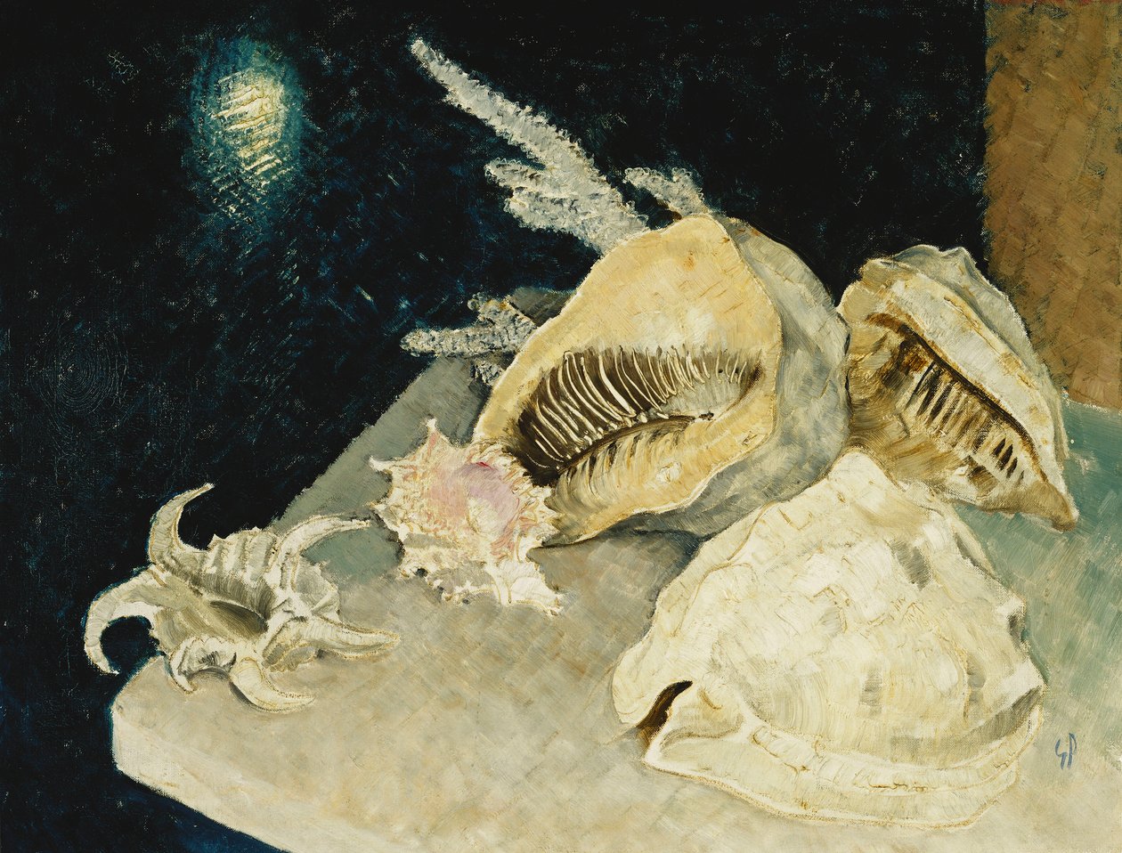 Schelpen door Glyn Warren Philpot