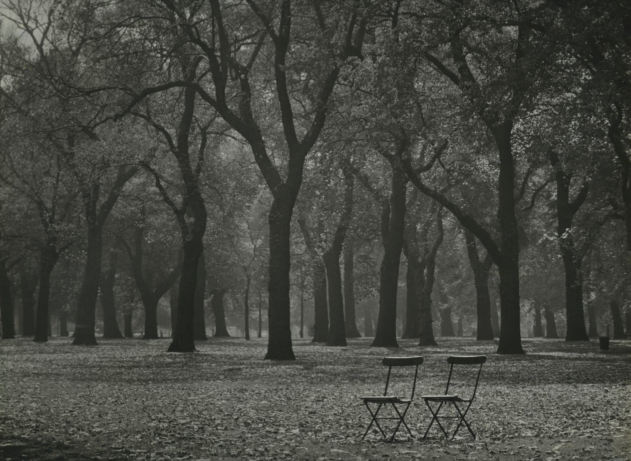 Herfstbomen in Hyde Park, Londen door Godfrey Macdominic
