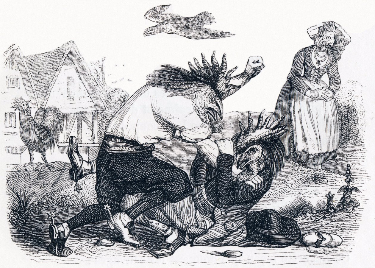 De twee hanen - Fabels van La Fontaine door Grandville