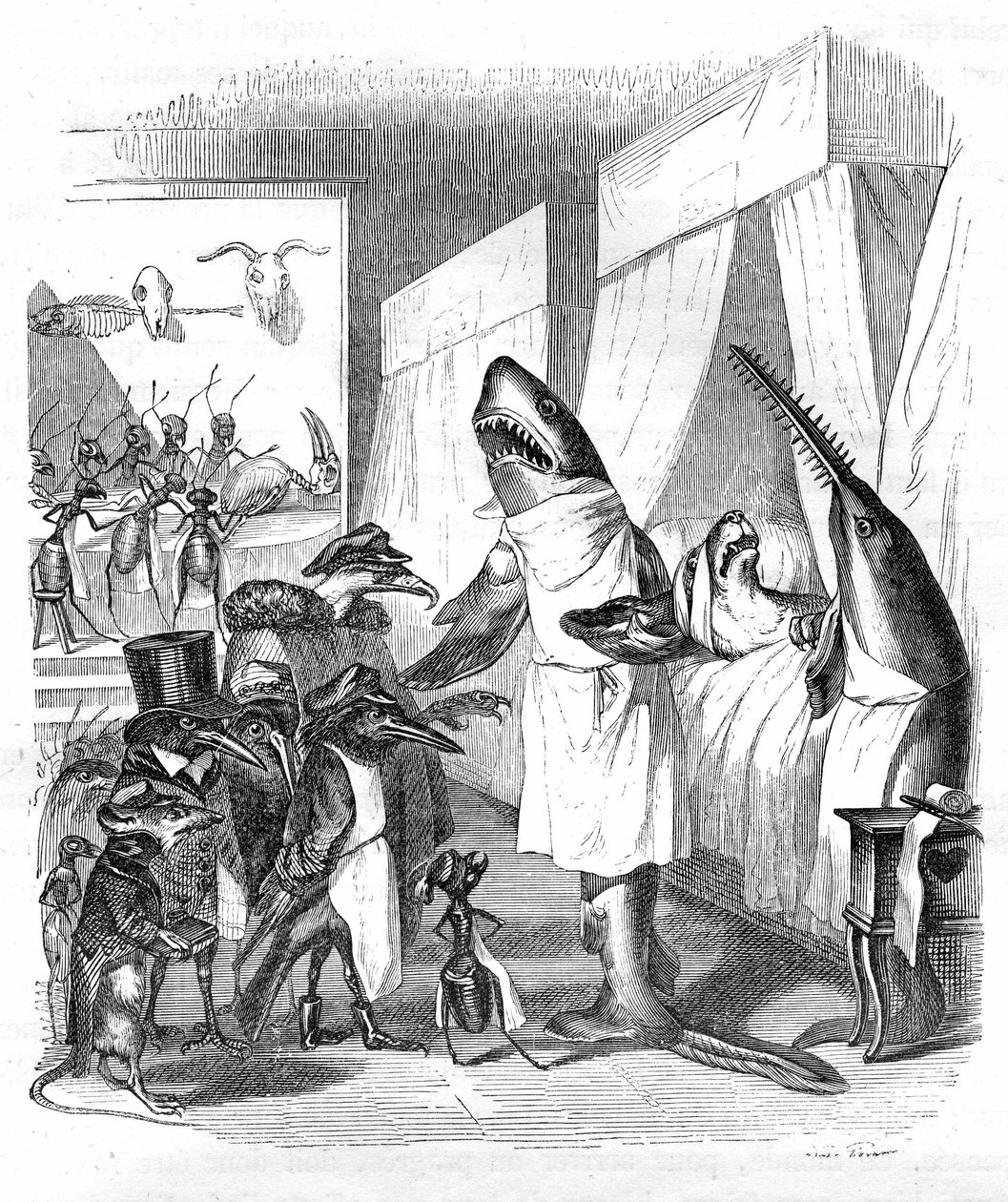 Cartoon: Vissen - dokters: Grandville gravure, uit het boek “Privé en openbaar leven van dieren (Les animaux peints par eux-mêmes)”, Hetzel editie 1867 p. 551 - Een haai en een zaagvis (Viszaag) aan het bed van een zieke in bed. door Grandville (1803 47)