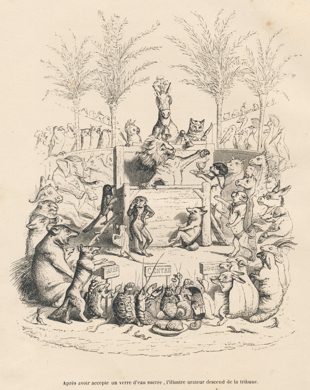 Politieke toespraak van de leeuw in een tribune omringd door alle andere dieren. Geïllustreerde vignetten door JJ Granville. Gravure gesigneerd door Godard in de proloog getiteld "Parlementair overzicht" geschreven door PJ Stahl in "Scènes uit het privé- e door Grandville