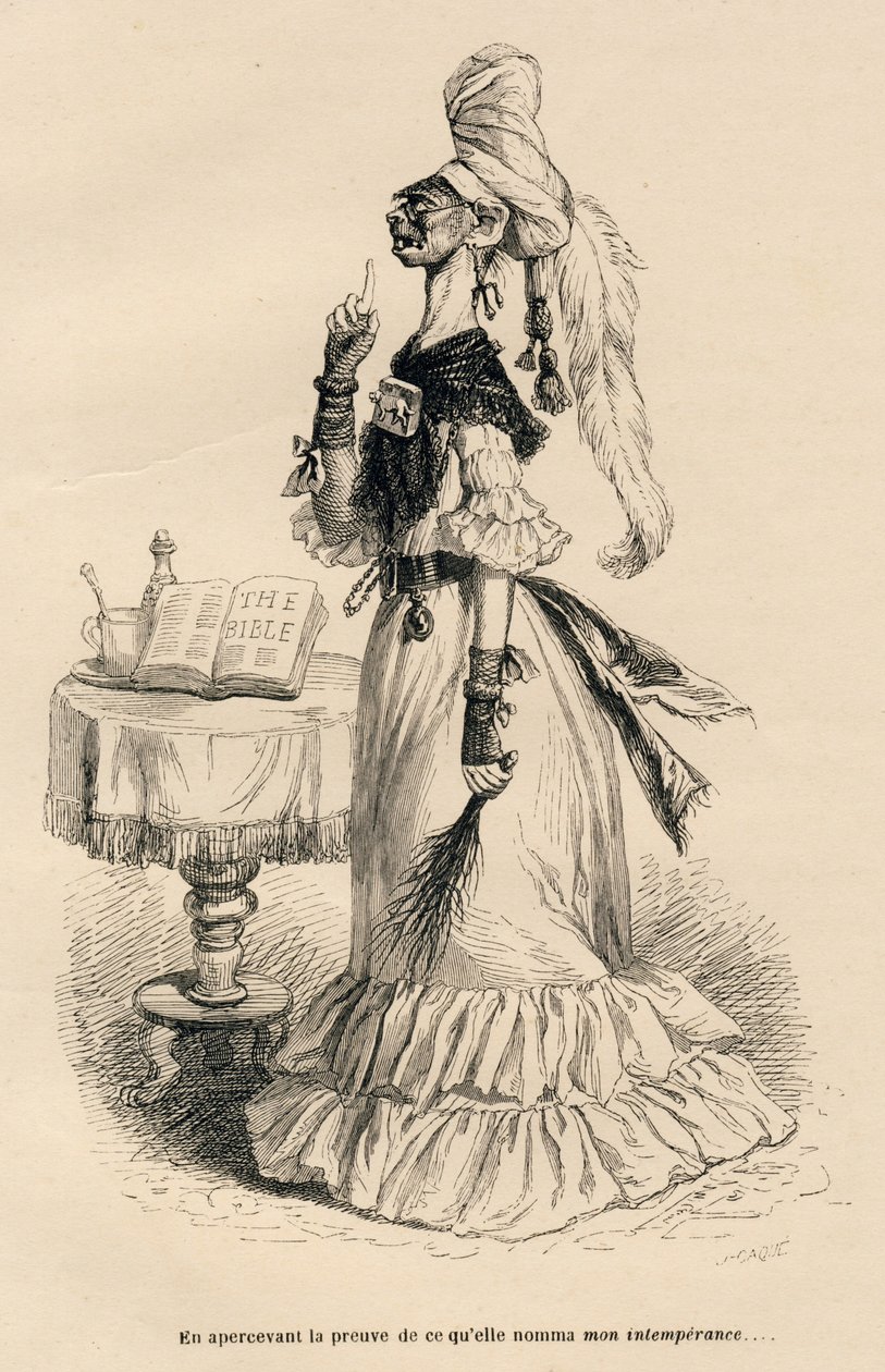Bij het zien van het bewijs van wat zij mijn onmatigheid noemde door Grandville