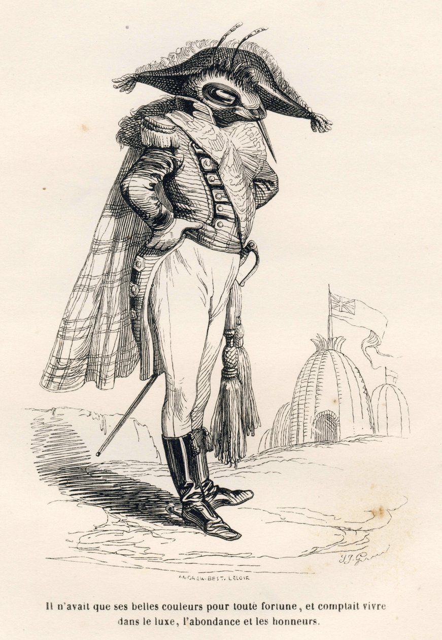 Hij had alleen zijn mooie kleuren als enige fortuin en rekende erop in luxe, overvloed en eer te leven. Vignetten geïllustreerd door JJ Granville. Gravure gesigneerd Andrew, Best en Leloir in het deel "Reis van een mus uit Parijs" geschreven door door Grandville