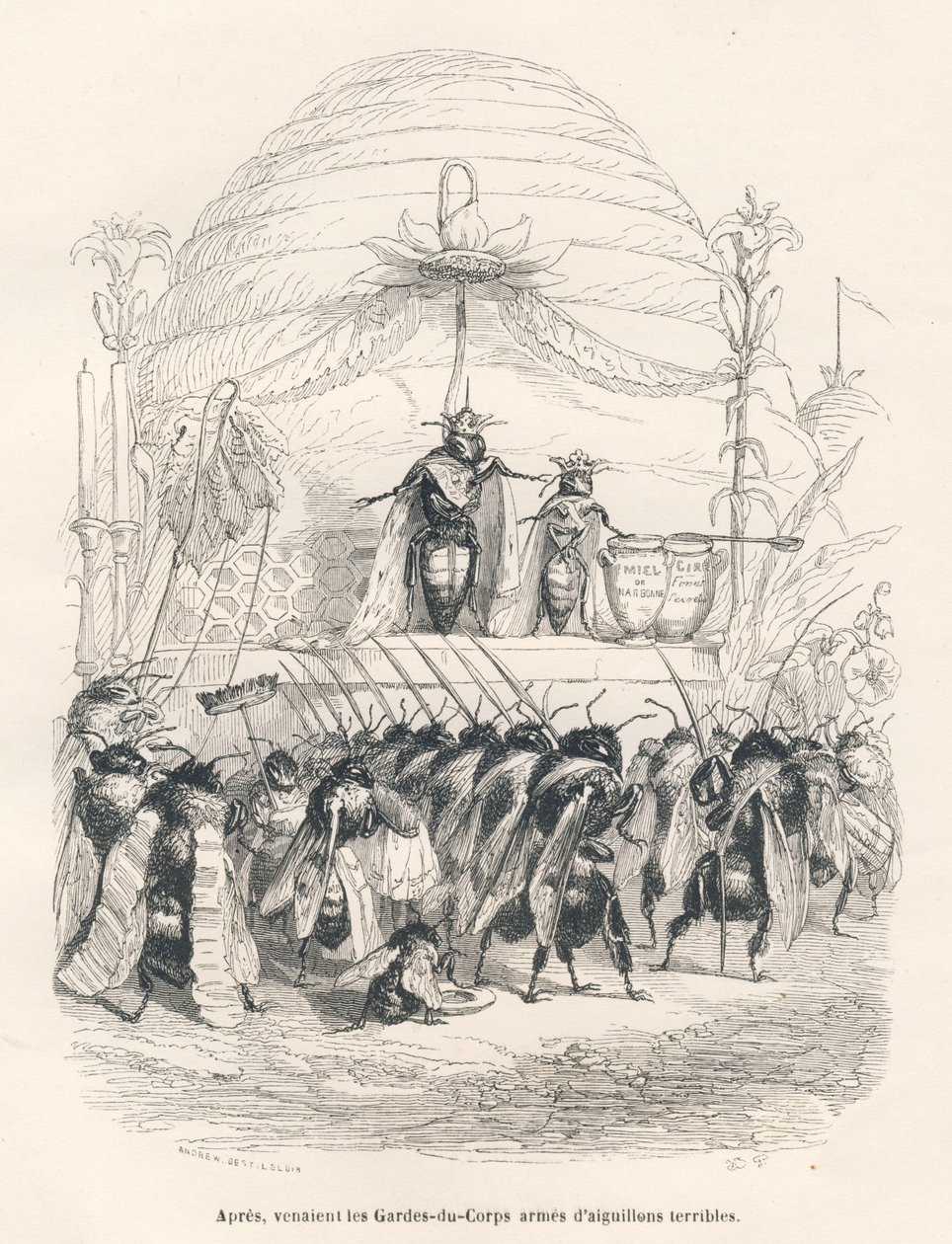 De koningin van de bijen en haar leger. Vignetten geïllustreerd door JJ Granville. Gravure gesigneerd Andrew, Best en Leloir in het deel getiteld "Reis van een mus uit Parijs" geschreven door George Sand in "Scènes uit het privé- en openbare leven van dier door Grandville