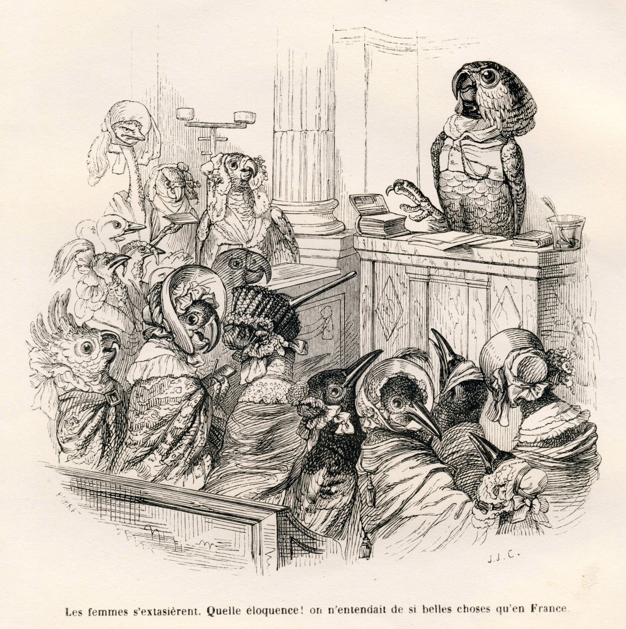 Welsprekende papegaai. Vignetten geïllustreerd door JJ Granville. Gravure gesigneerd Porret in het deel getiteld "Gids-ezel voor dieren die eer willen bereiken" geschreven door Honoré De Balzac in "Scènes uit het privé- en openbare leven van dieren" door Grandville