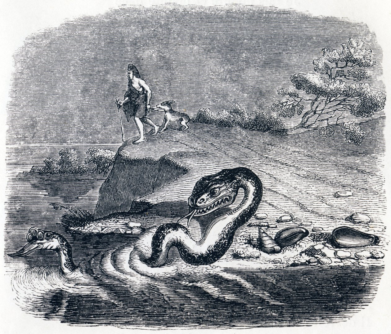 De kop en de staart van de slang (La tete et la queue du serpent) - Fabels van La Fontaine door Grandville