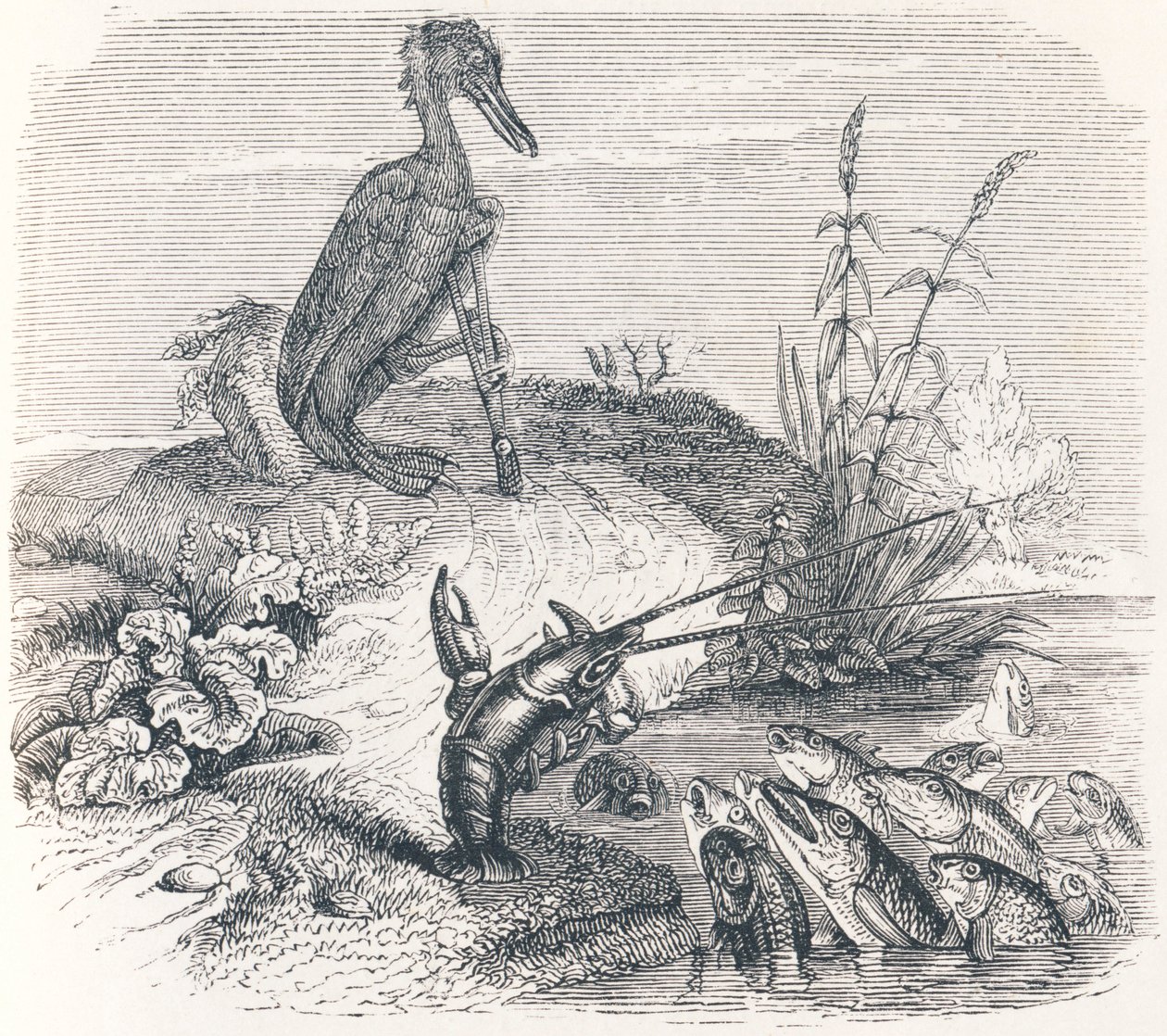 De vissen en de aalscholver door Grandville