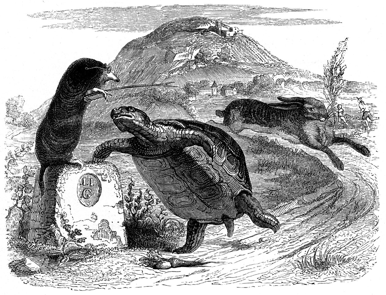 De haas en de schildpad: La Fontaine fabel geïllustreerd door Grandville door Grandville (1803 47)