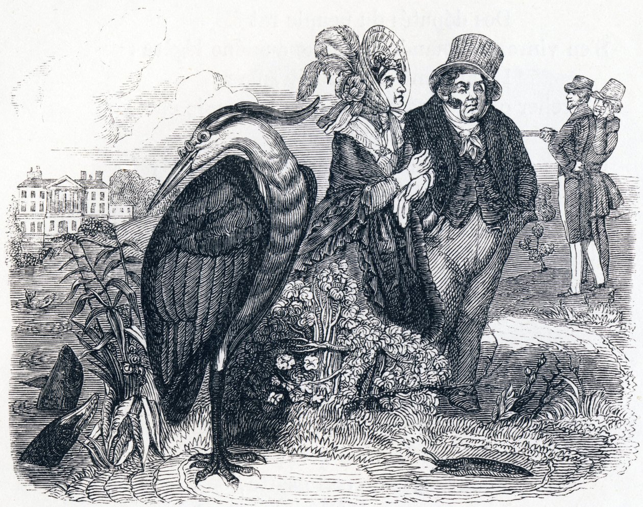 De reiger - Fabels van La Fontaine door Grandville