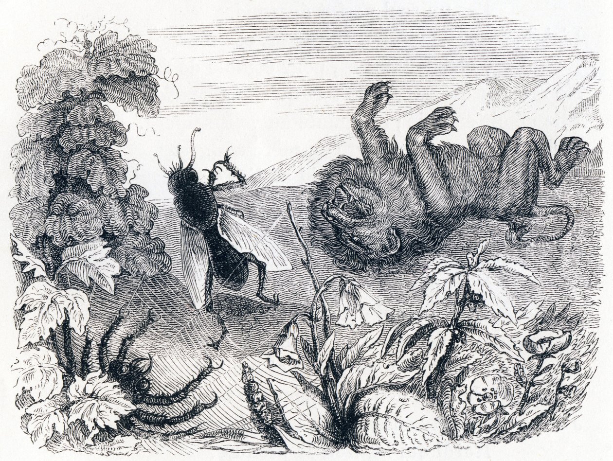 De leeuw en de mist - Fabels van La Fontaine door Grandville