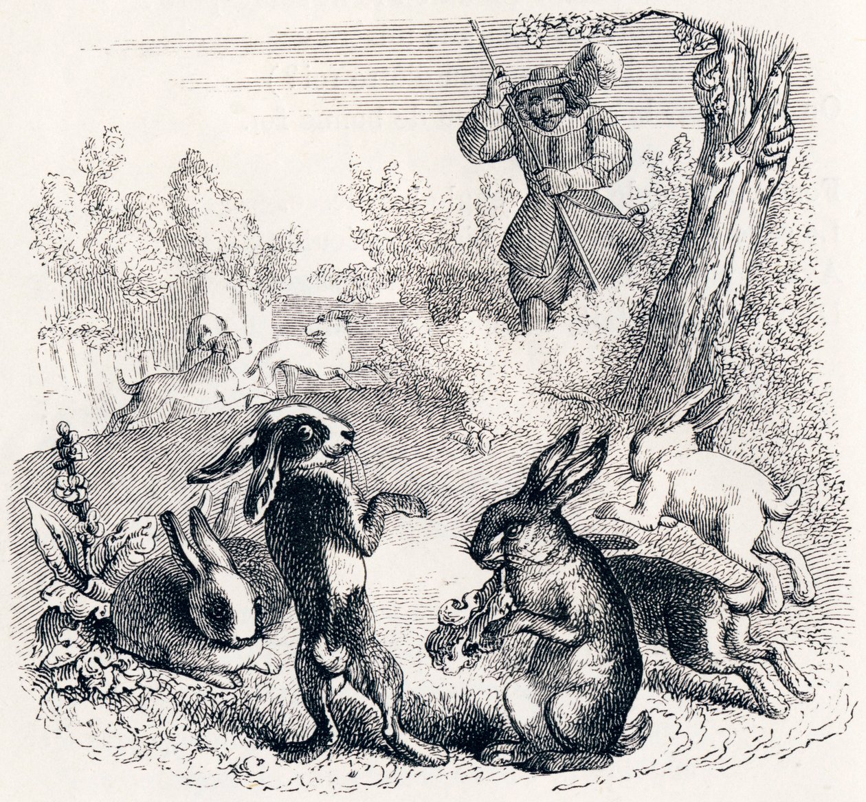 De konijnen (Les lapins) - Fabels van La Fontaine door Grandville