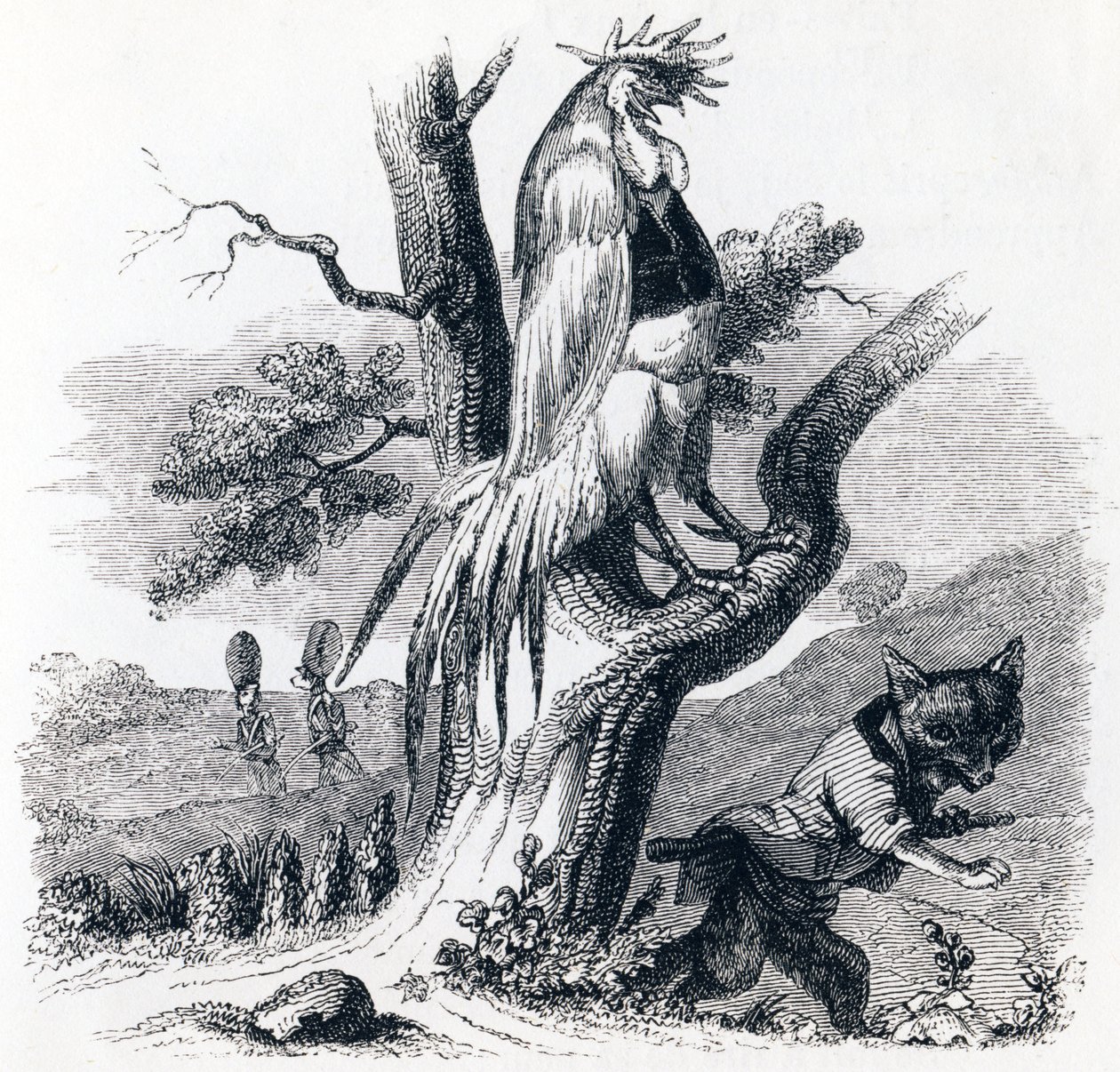 De haan en de vos - Fabels van La Fontaine door Grandville