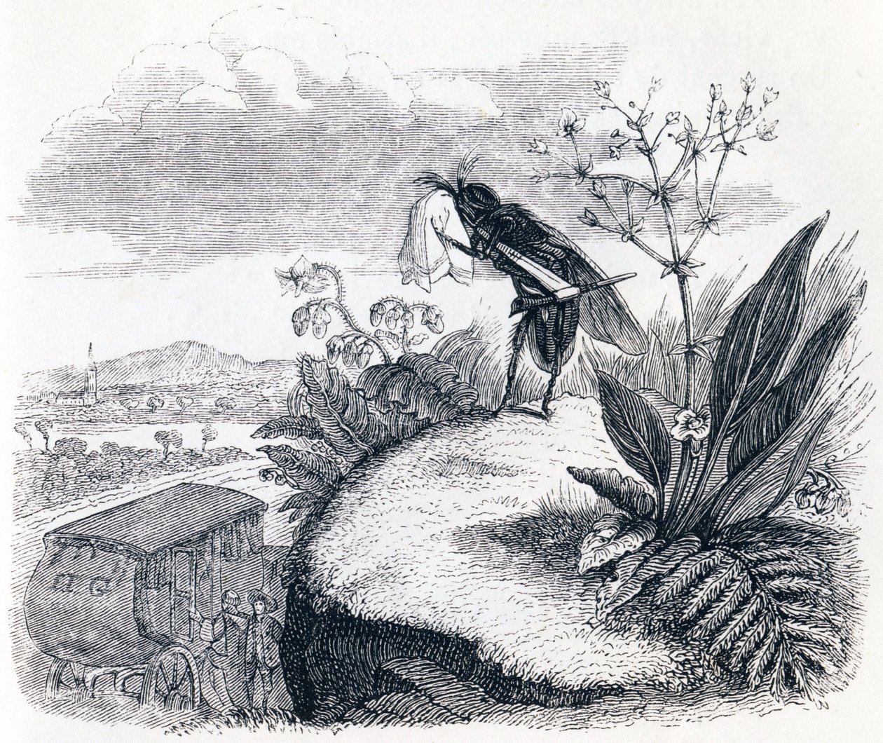 De teek en de vlieg - Fabels van La Fontaine door Grandville