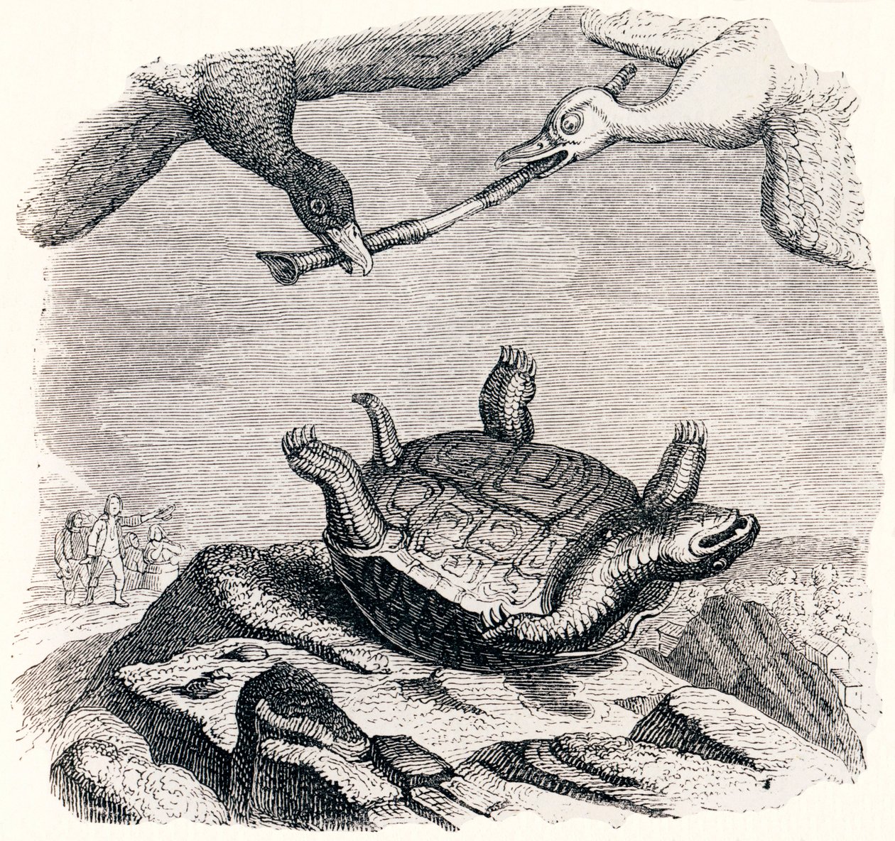 De schildpad en de twee eenden - Fabels van La Fontaine door Grandville