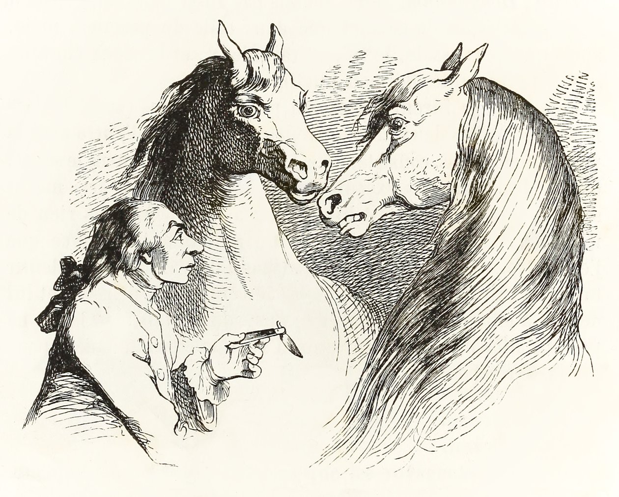 Gulliver praat met pratende paarden in Houyhnhnms Land, uit Gullivers Reizen door Jonathan Swift door Grandville