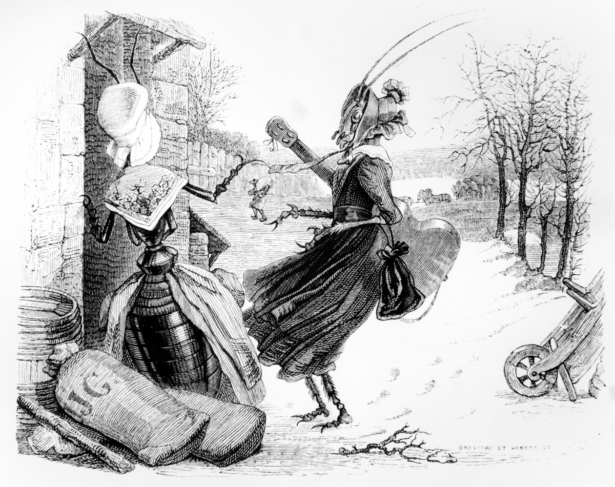 De cicade en de mier, illustratie voor 