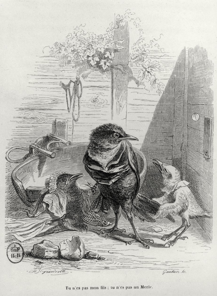 Illustratie voor LHistoire dun merle blanc, gegraveerd door Gautier door Grandville 1803 47 after Grandville 1803 47 after