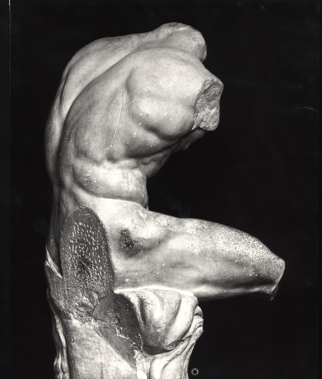 Belvedere torso door Greco Roman Greco Roman