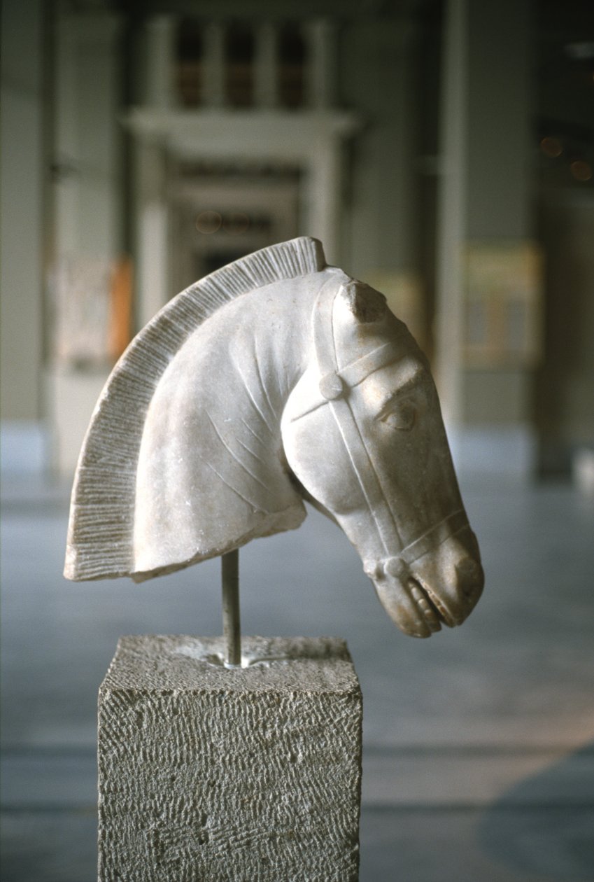 Hoofd van een paard door Greek