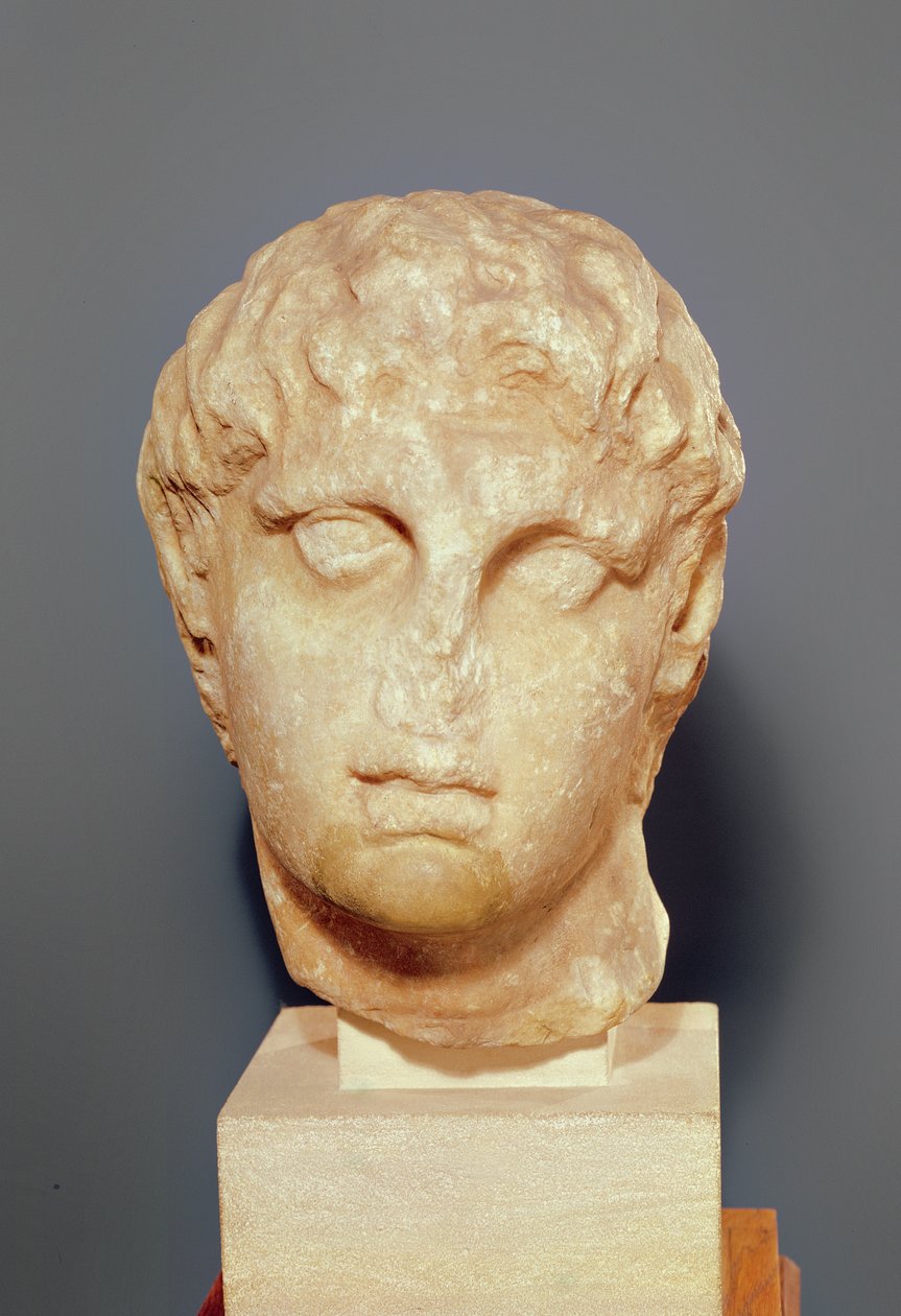 Hoofd van een van de Diadochi of Hoofd van Alexander III de Grote door Greek